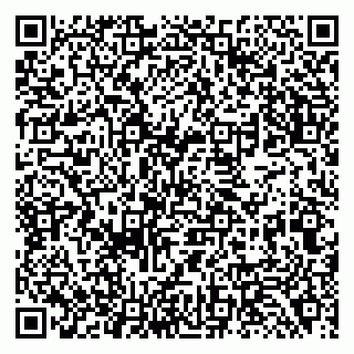 vCard 79138288299