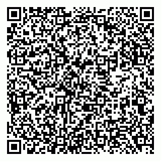 vCard 79138288303