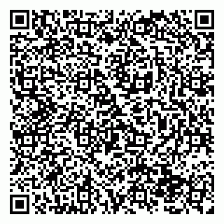 vCard 79138288335