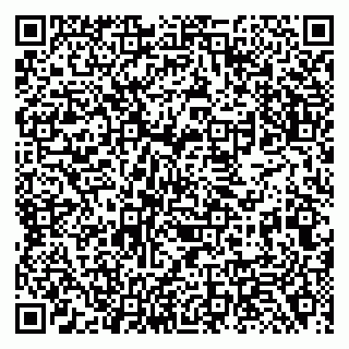 vCard 79138288337