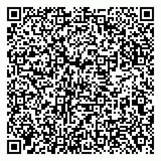 vCard 79138288342