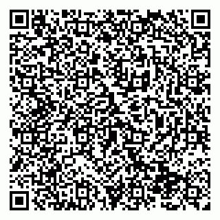 vCard 79138288367