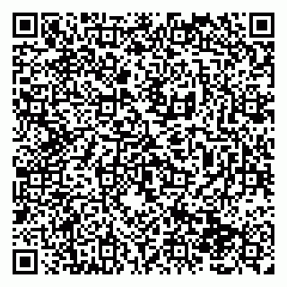 vCard 79138288385