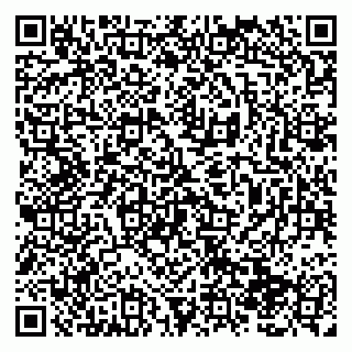 vCard 79138288397