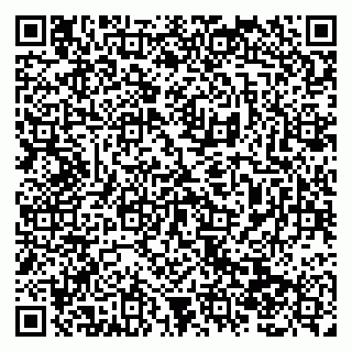 vCard 79138288403