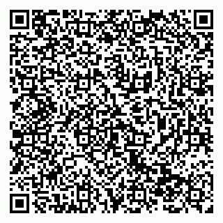 vCard 79138288409