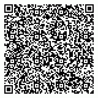 vCard 79138288451