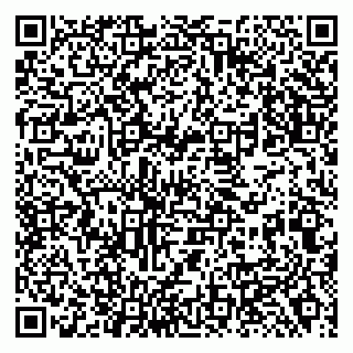 vCard 79138288455