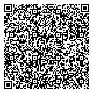 vCard 79138288474