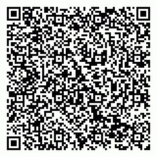 vCard 79138288487