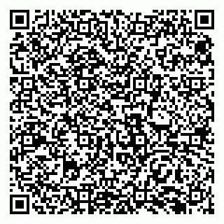 vCard 79138288558