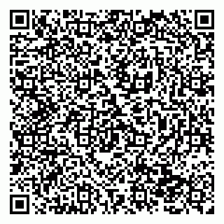 vCard 79138288587