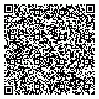 vCard 79138288673
