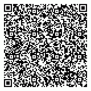 vCard 79138288683