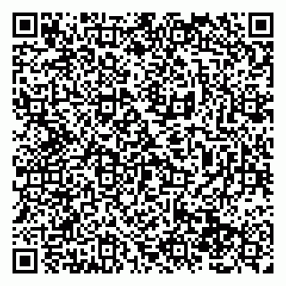 vCard 79138288685