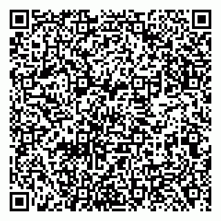 vCard 79138288697
