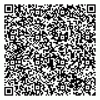 vCard 79138288705