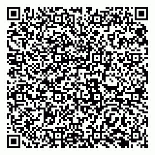 vCard 79138288741