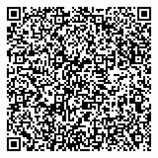 vCard 79138288771