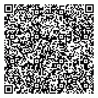 vCard 79138288779