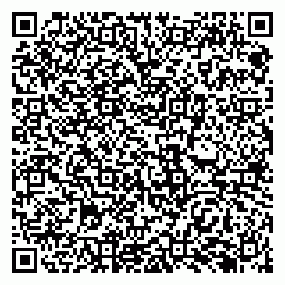 vCard 79138288802