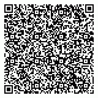 vCard 79138288809