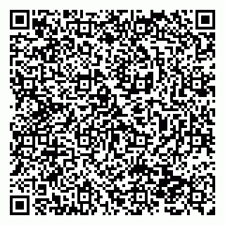 vCard 79138288907