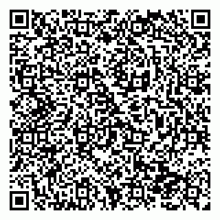 vCard 79138288908