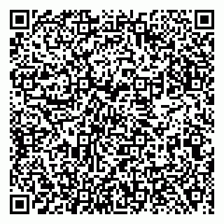 vCard 79138288909