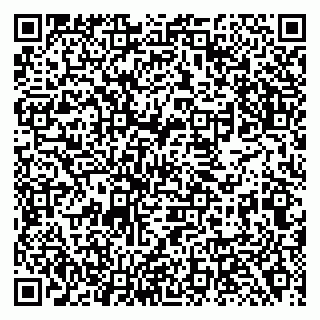 vCard 79138288971