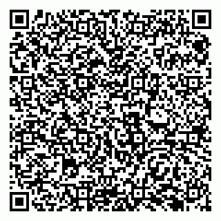 vCard 79138288993