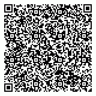 vCard 79138289201