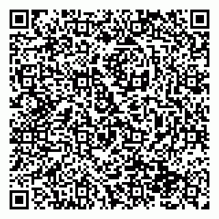 vCard 79138289303