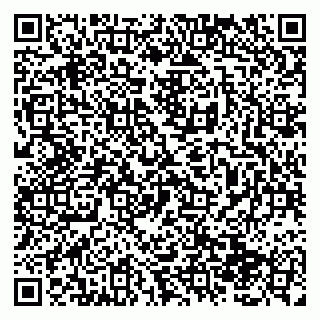vCard 79138289331
