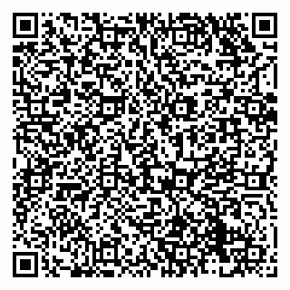 vCard 79138289345