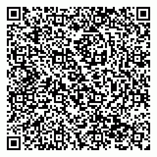 vCard 79138289455