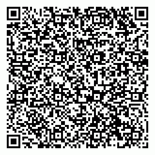 vCard 79138289489