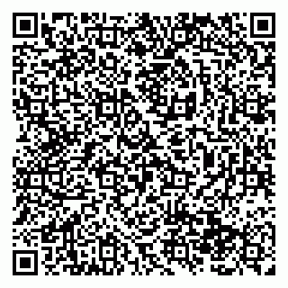 vCard 79138289705
