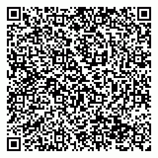 vCard 79138289727