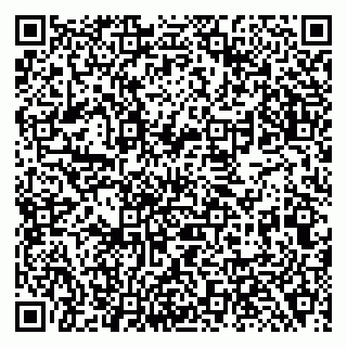 vCard 79138289909