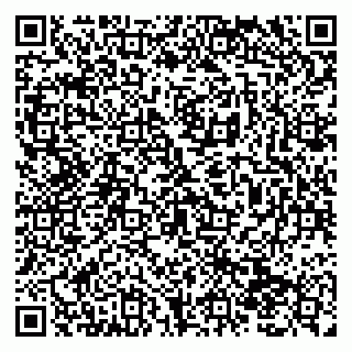 vCard 79138290004