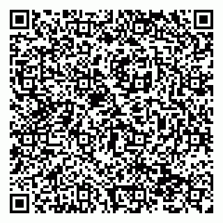 vCard 79138290076