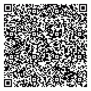 vCard 79138290100