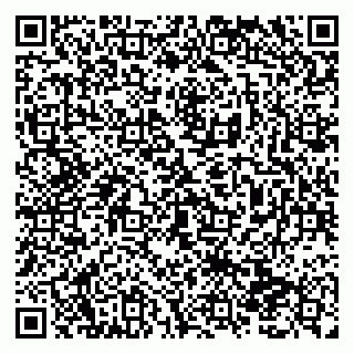vCard 79138290102