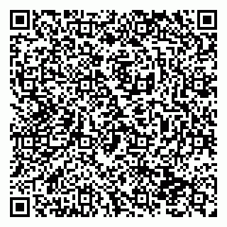 vCard 79138290146