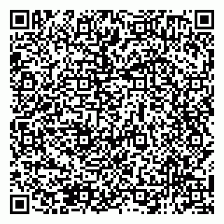 vCard 79138290147