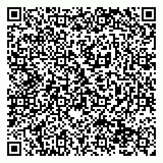 vCard 79138290201
