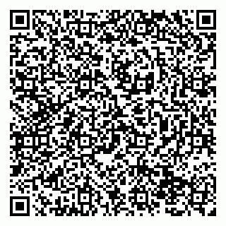 vCard 79138290231