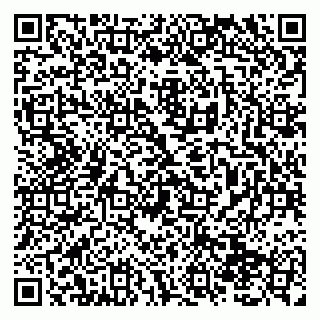 vCard 79138290239