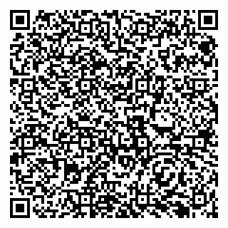vCard 79138290263